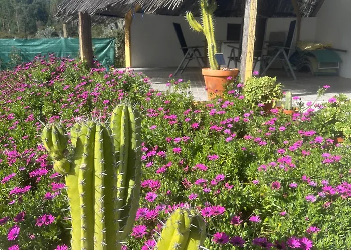 Azul, Graca Portugal Villa Pedrogao Grande