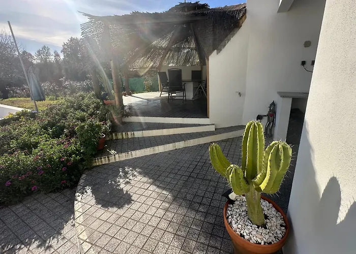 Azul, Graca Portugal Pedrogao Grande